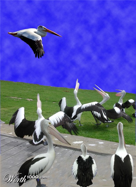 Photoshop Design by cassanhorse