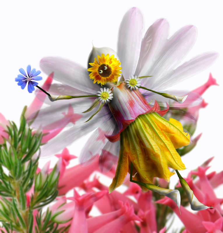 Photoshop Design by Zakfuego for DesignCrowd (Community Contests) | Design #8935875