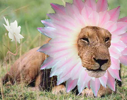 Diseño de Photoshop por CrapILostMySpacebar para DesignCrowd (Community Contests) | Diseño #8935928