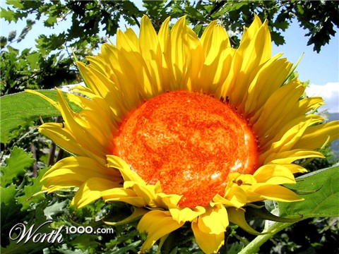 Photoshop Design by Robbyfromitaly