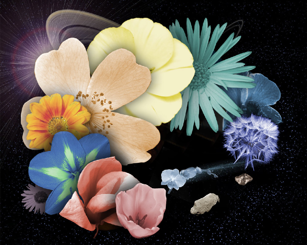Photoshop Design by tonnyman for DesignCrowd (Community Contests) | Design #8935915