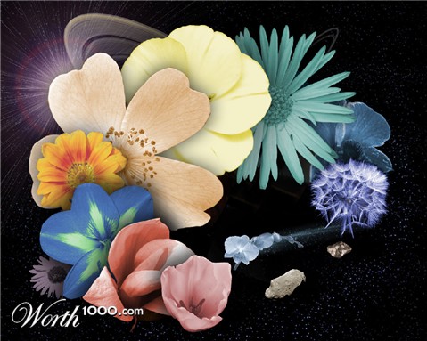Photoshop Design by tonnyman