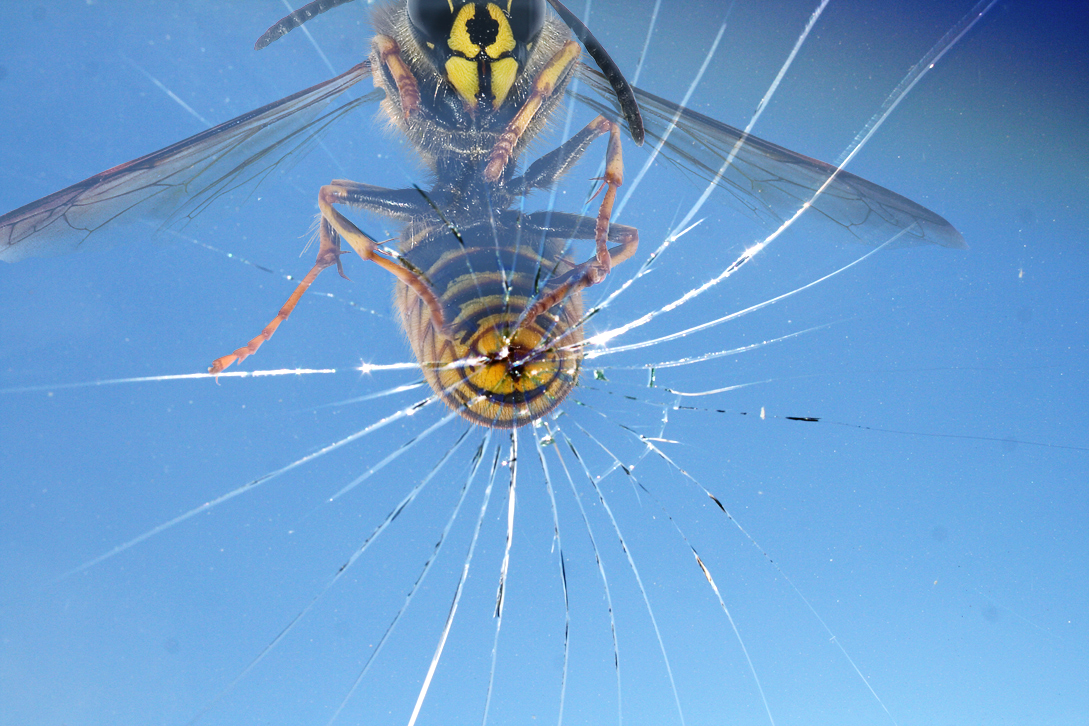 Photoshop Design by Paul Hanson for DesignCrowd (Community Contests) | Design #8935711