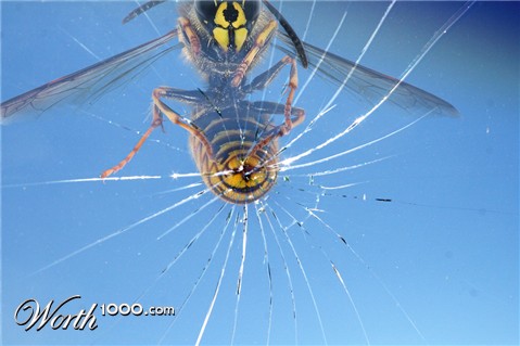 Photoshop Design by Paul Hanson