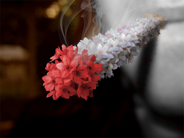 Diseño de Photoshop por pbear1 para DesignCrowd (Community Contests) | Diseño #8935995
