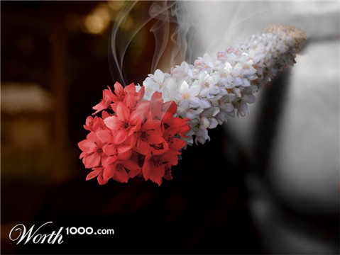 Photoshop Design by pbear1