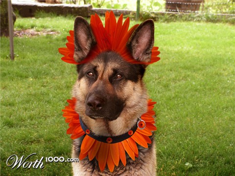 Photoshop Design by janefrog