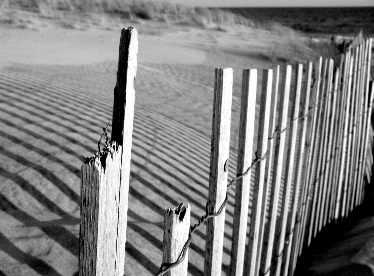 Photography by annaalicja for DesignCrowd (Community Contests) | Design #8935103