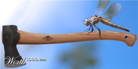 Photoshop Design by paulrs00