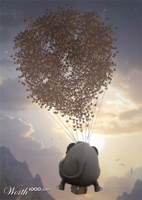 Photoshop Design by timboyle