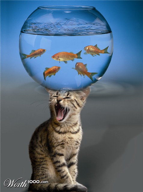 Photoshop Design by bibile