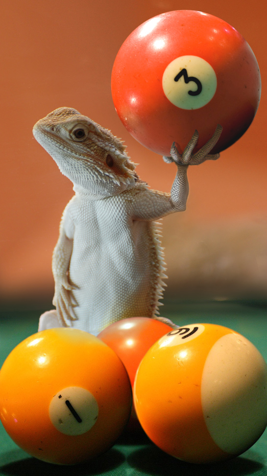 Photoshop Design by DutchPuh for DesignCrowd (Community Contests) | Design #8935782