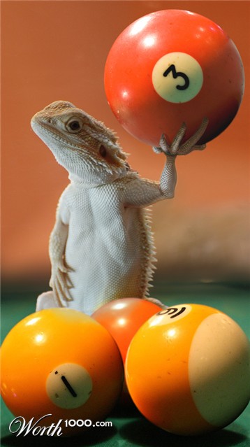 Photoshop Design by DutchPuh