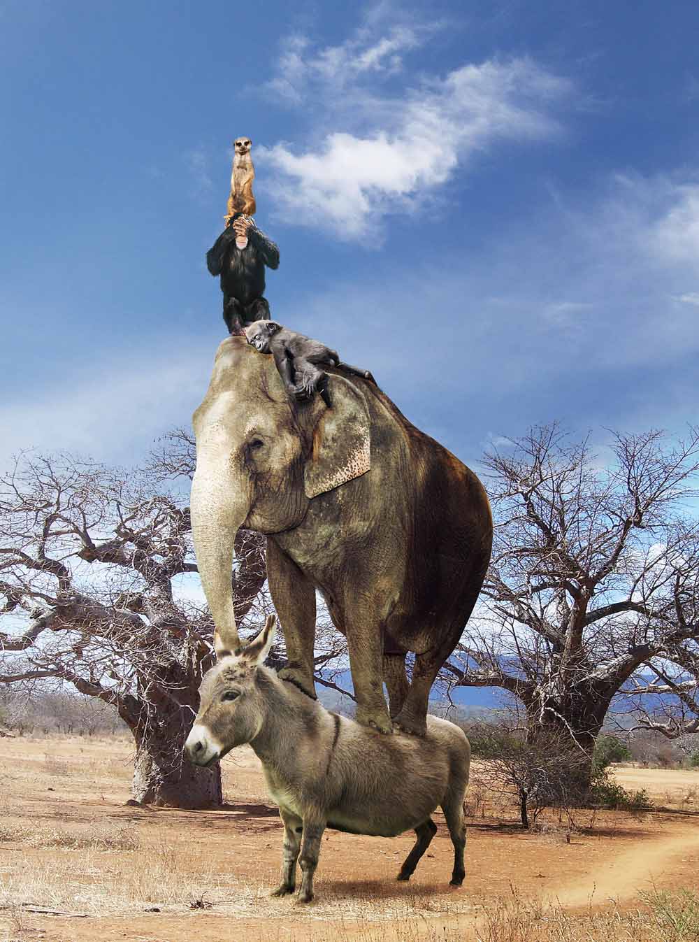 Diseño de Photoshop por urnmns para DesignCrowd (Community Contests) | Diseño #8935787