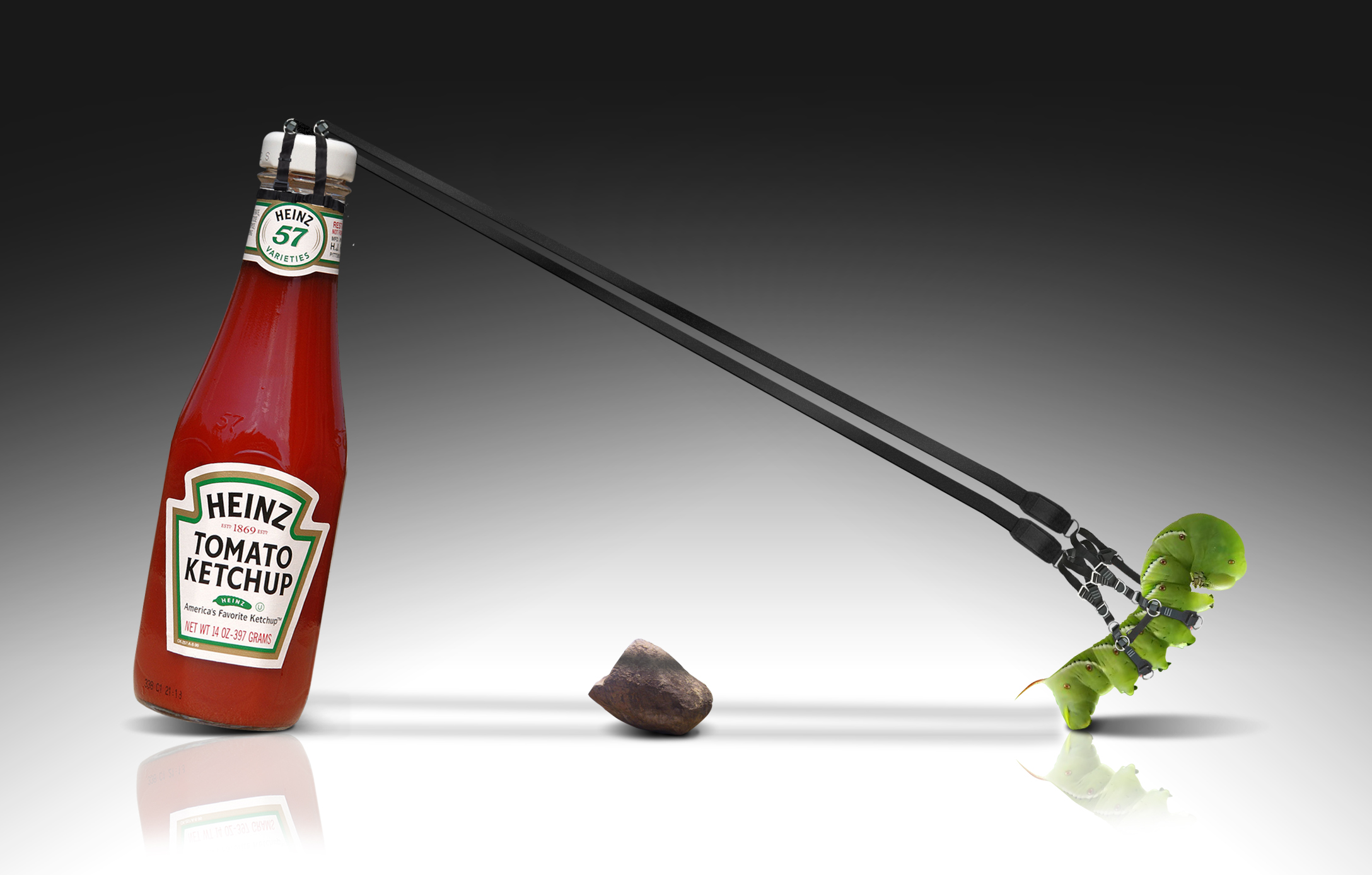 Photoshop Design by rypress for DesignCrowd (Community Contests) | Design #8935799