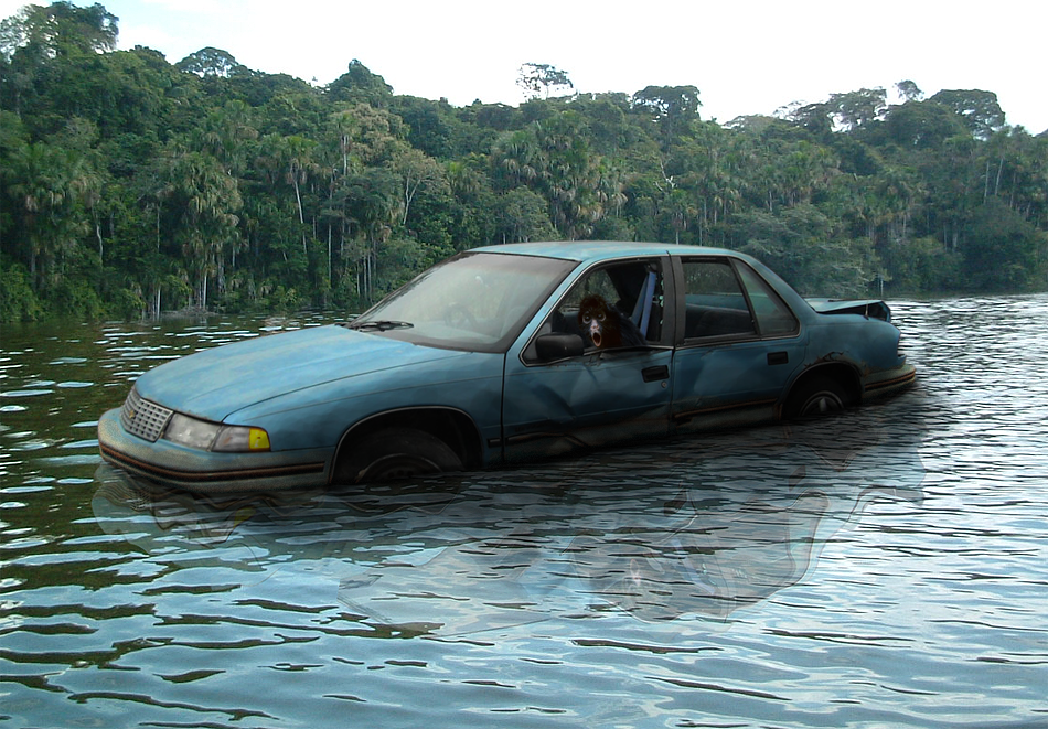 Photoshop Design by Zakfuego for DesignCrowd (Community Contests) | Design #8936087