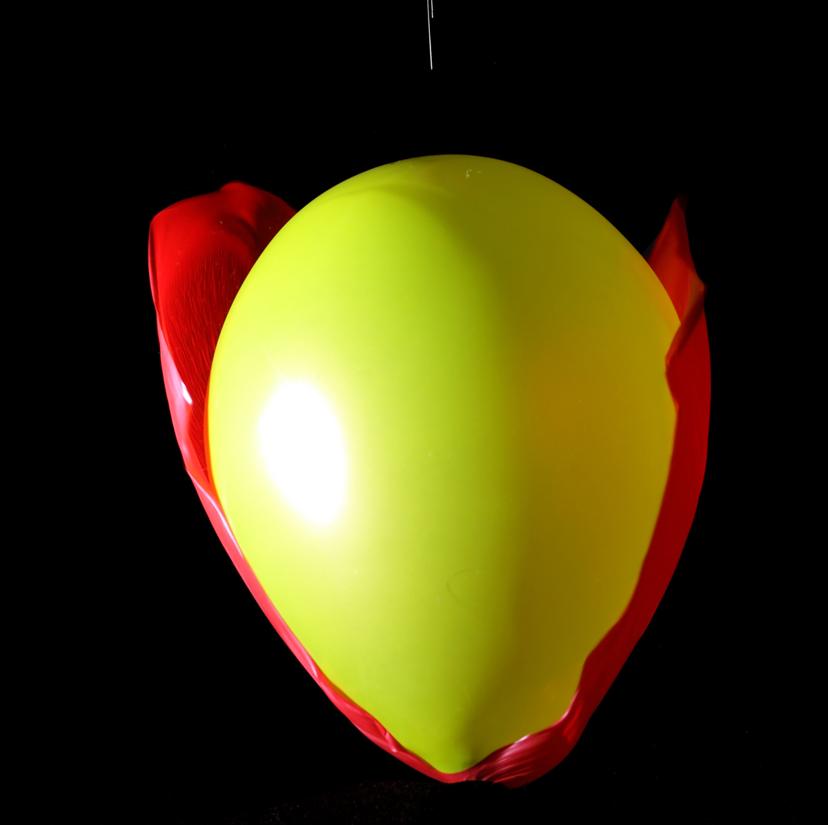 Photography by Rouwkema for DesignCrowd (Community Contests) | Design #8935108