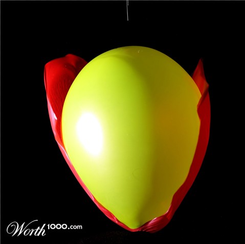 Photography by Rouwkema