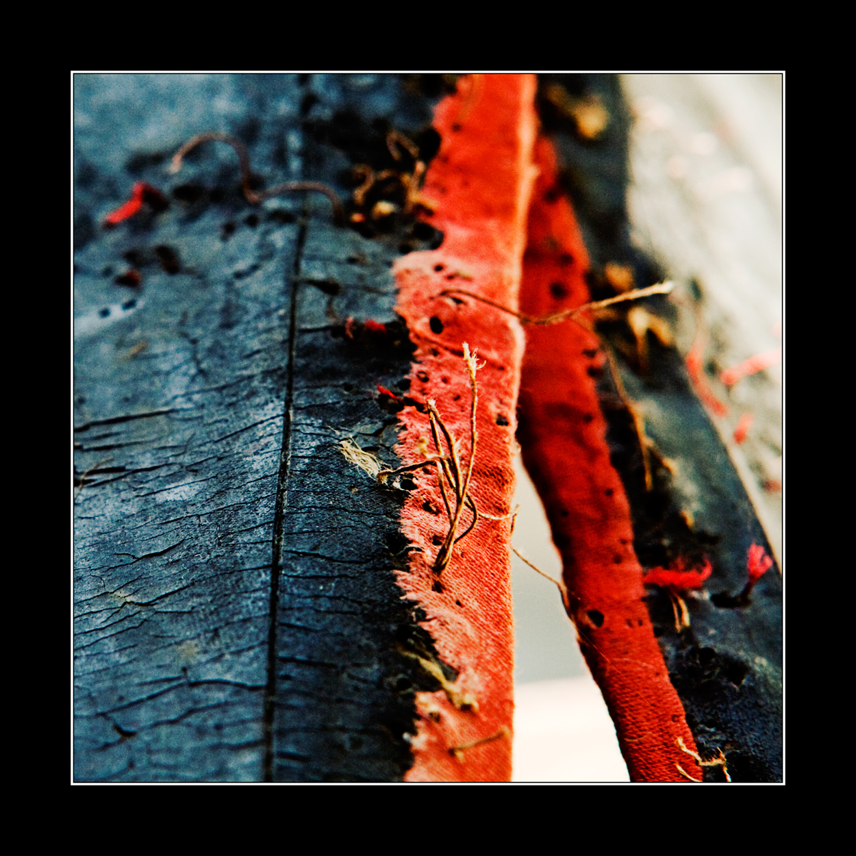 Photographie par secretatlantis pour DesignCrowd (Community Contests) | Design #8935113