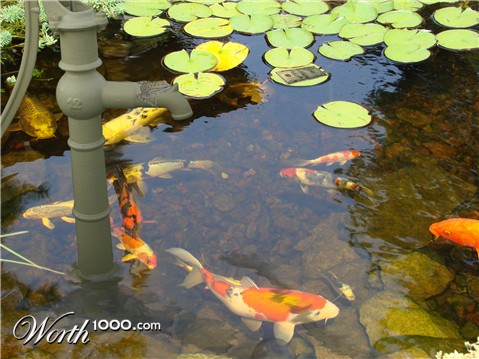 Photoshop Design by Shemp34