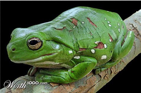 Photoshop Design by willibarb