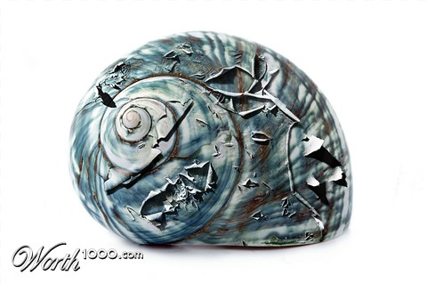 Photoshop Design by Dark77