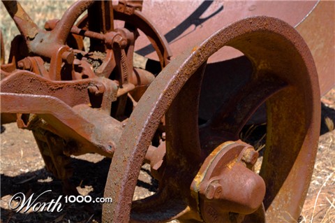 Photography by Iamnotworthy