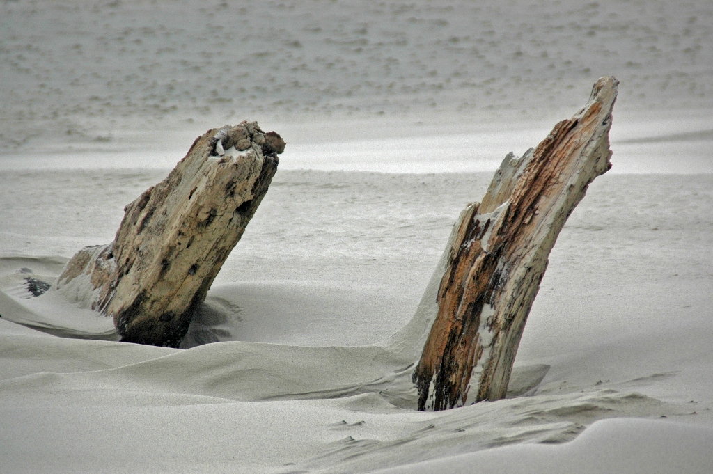 Fotografía por Pimslabs para DesignCrowd (Community Contests) | Diseño #8935242