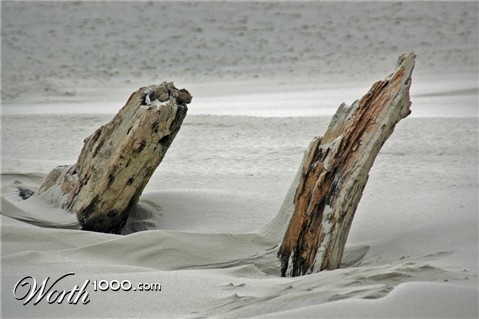 Photography by Pimslabs