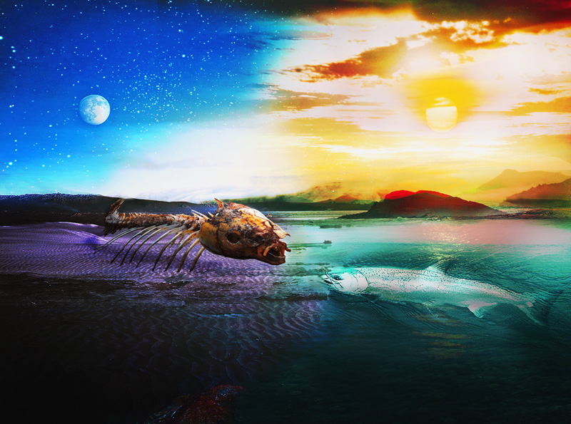 Diseño de Photoshop por urnmns para DesignCrowd (Community Contests) | Diseño #8936945