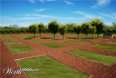 Photoshop Design by Dark77