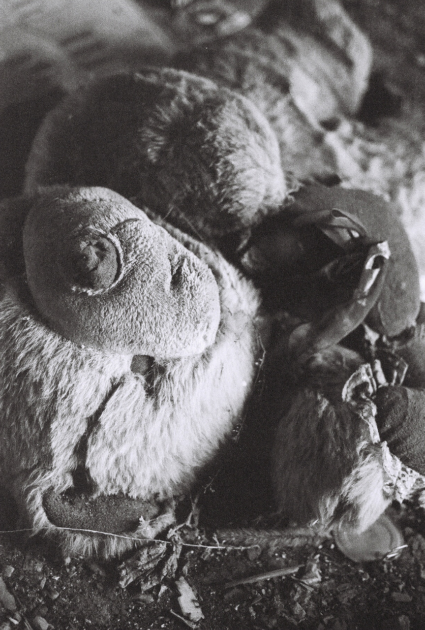 Photography by Klaser for DesignCrowd (Community Contests) | Design #8935213