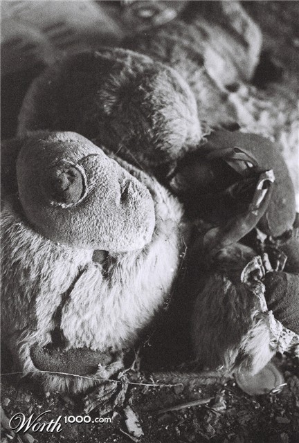 Photography by Klaser