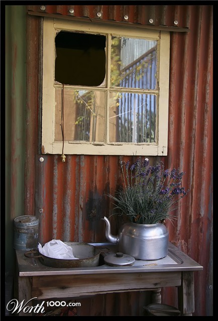 Photography by lynvdg