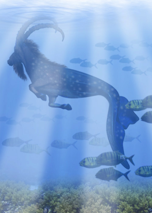 Photoshop Design by timboyle for DesignCrowd (Community Contests) | Design #8937053