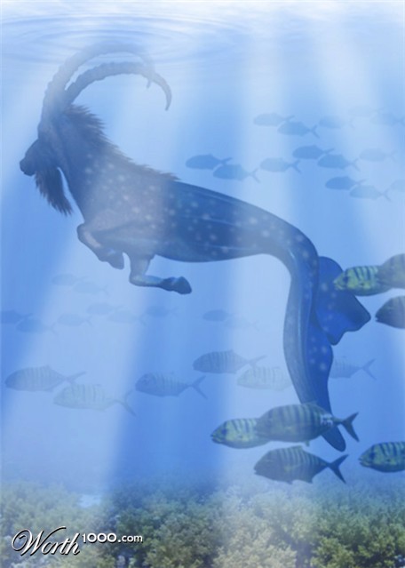 Photoshop Design by timboyle