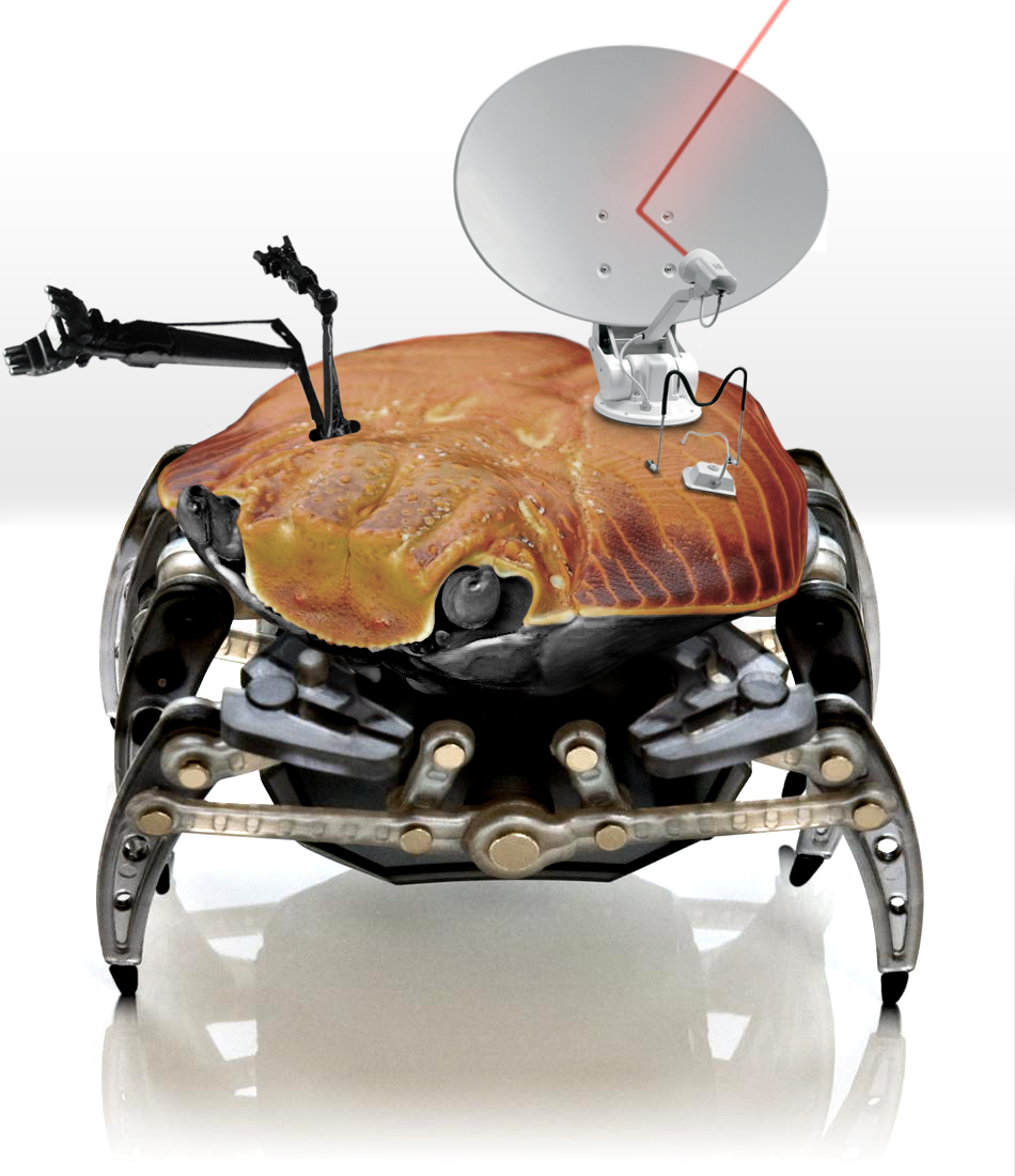 Photoshop Design by Justincorkum7 for DesignCrowd (Community Contests) | Design #8937037