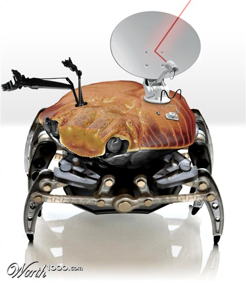 Photoshop Design by Justincorkum7