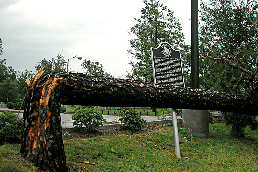 Photography by evitigre for DesignCrowd (Community Contests) | Design #8935341