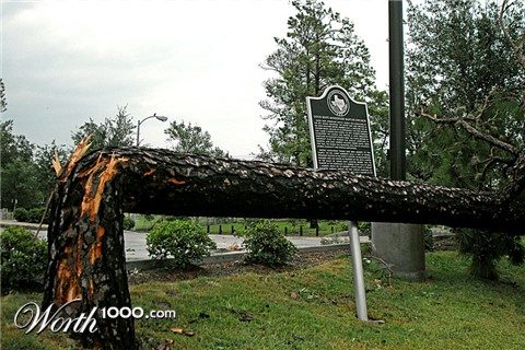 Photography by evitigre