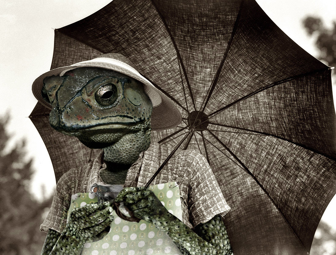 Photoshop-Design von ddenis99 für DesignCrowd (Community Contests) | Design #8936279