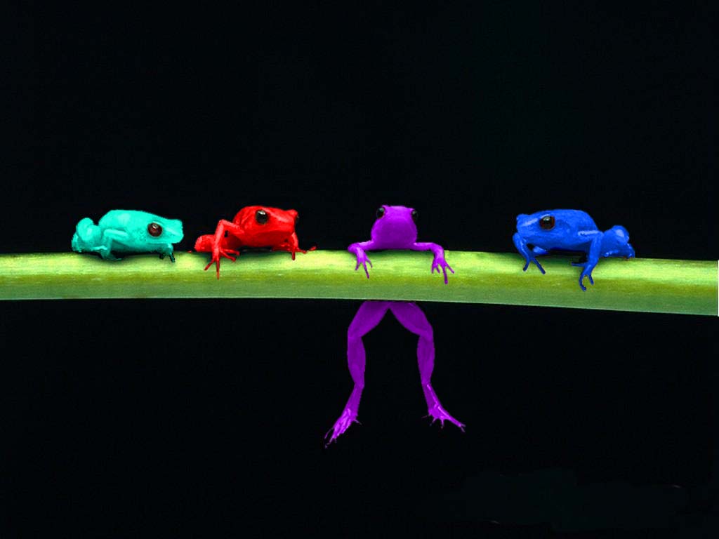 Photoshop Design by VaneetraX for DesignCrowd (Community Contests) | Design #8936257