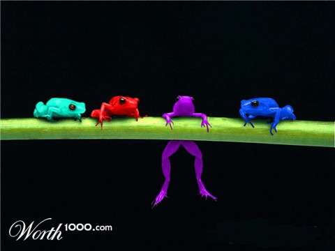 Photoshop Design by VaneetraX