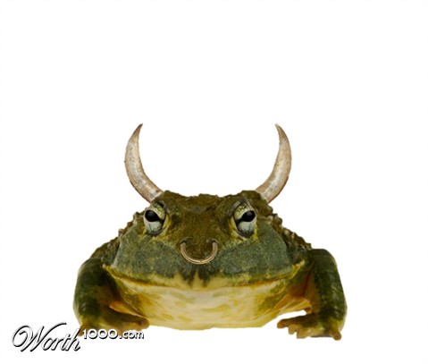 Photoshop Design by Mordey
