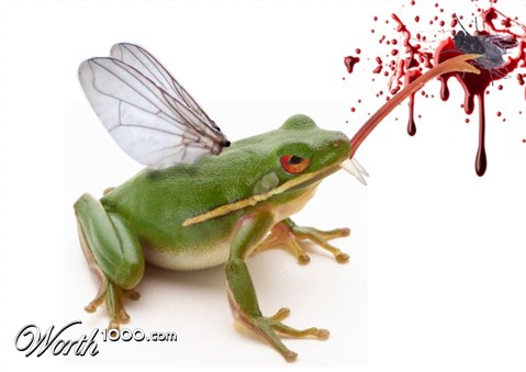 Photoshop Design by jacqueroxx