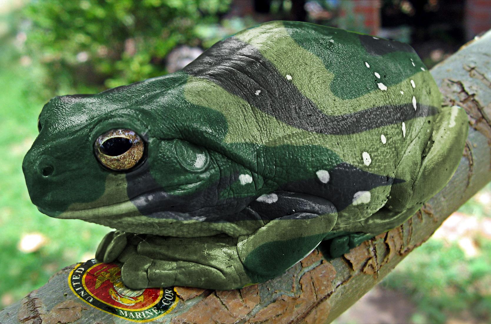 Photoshop Design by brighty for DesignCrowd (Community Contests) | Design #8936293