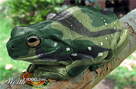 Photoshop Design by brighty