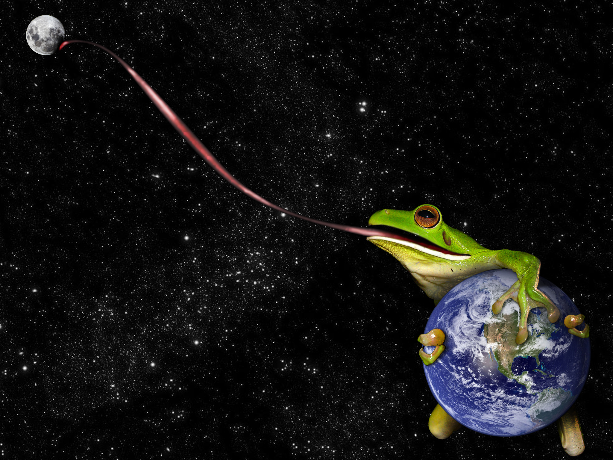 Photoshop Design by Djelibaybi for DesignCrowd (Community Contests) | Design #8936302