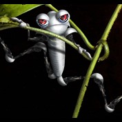 Photoshop Design by Zakfuego