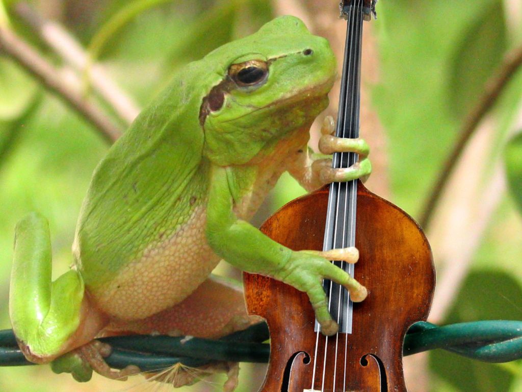 Design Photoshop par serresnoe pour DesignCrowd (Community Contests) | Design #8936319